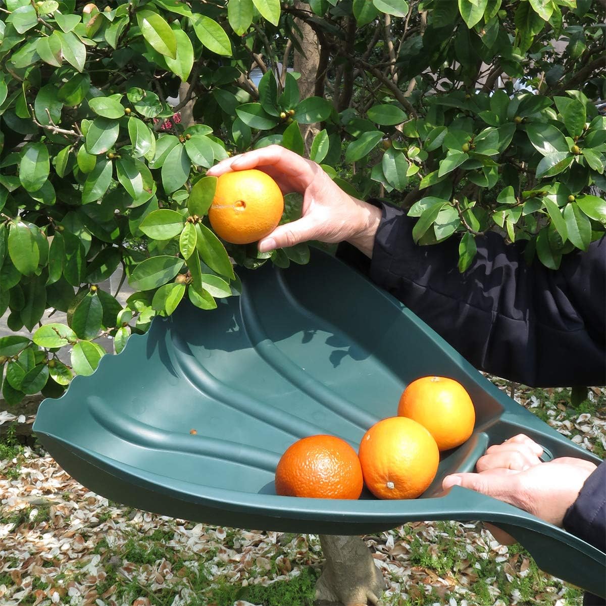 🔥Limited TimePromotion 50% OFF🔥 Pure Garden Leaf Scoops Hand Rakes Grabber Tool